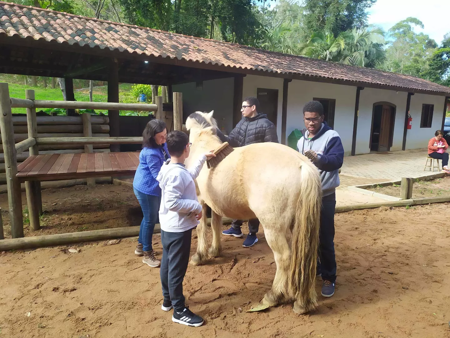 Equoterapia